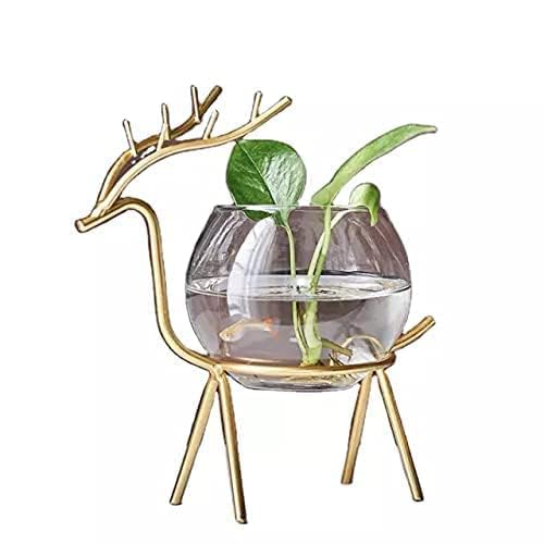 Deer Set of 2 | With Glasses