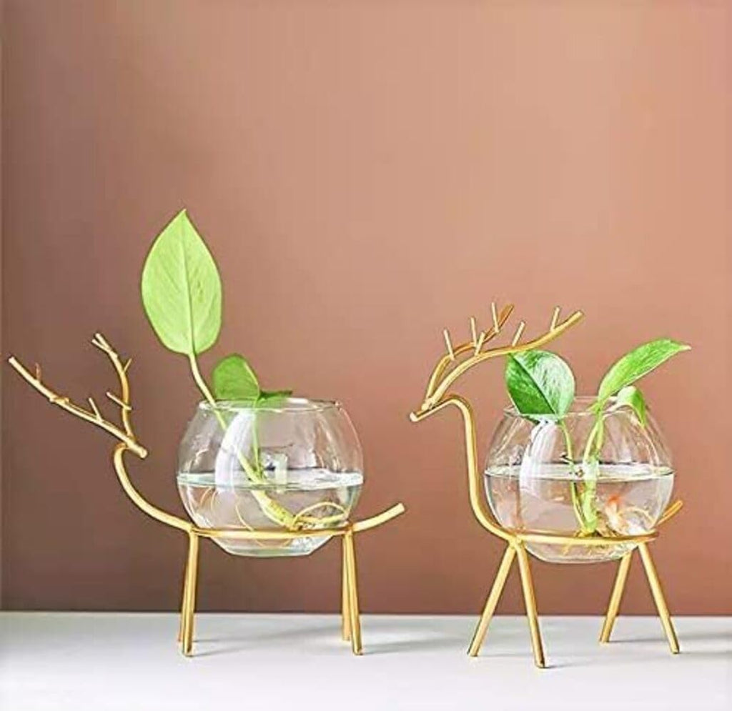 Deer Set of 2 | With Glasses